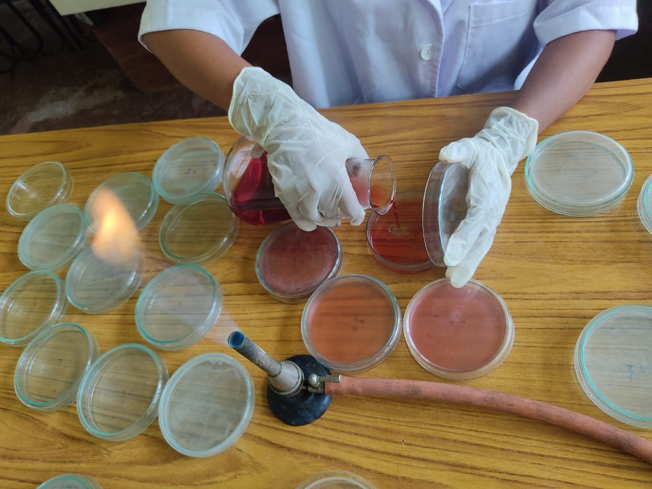 Diagnostic Testing