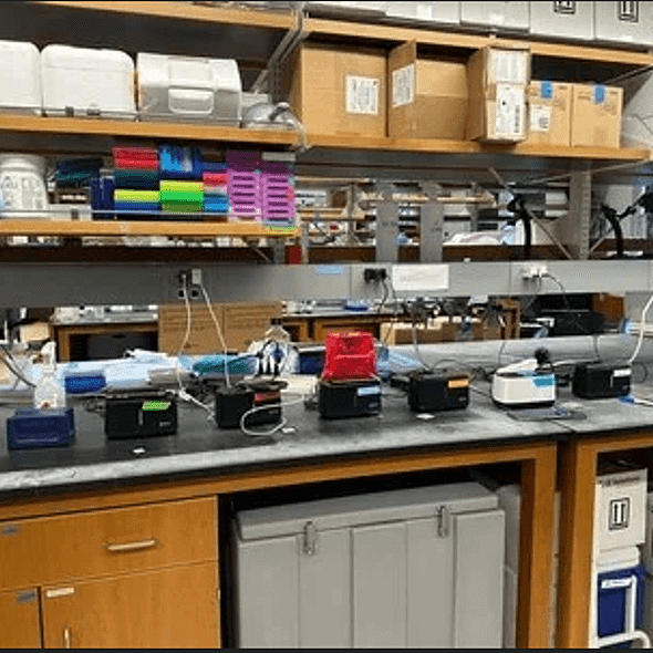 Started Sample Testing image 1